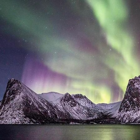 الشقق الفندقية Stonglandseidetفي  Senja Living المظهر الخارجي الصورة