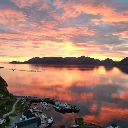 الشقق الفندقية Stonglandseidetفي  Senja Living المظهر الخارجي الصورة