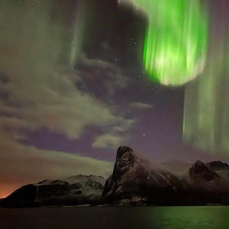 الشقق الفندقية Stonglandseidetفي  Senja Living المظهر الخارجي الصورة