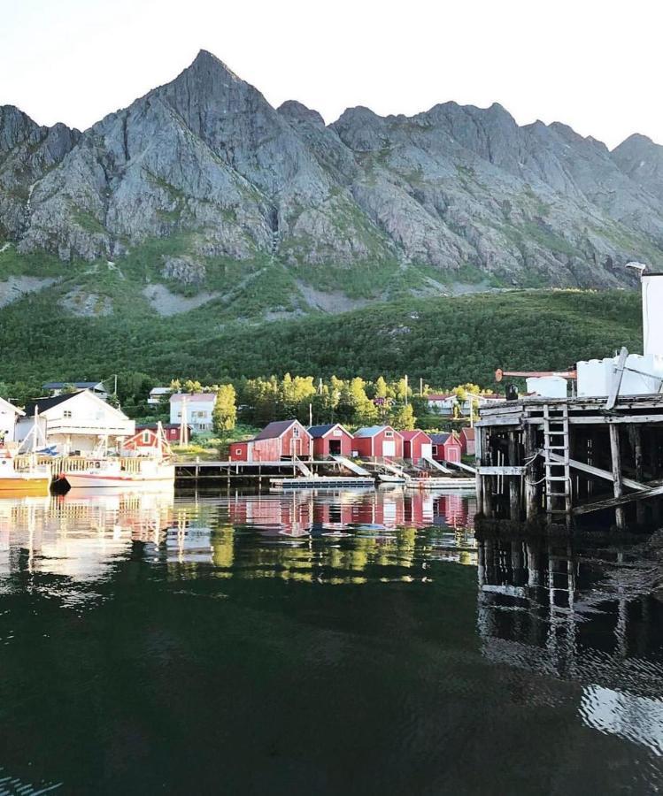 الشقق الفندقية Stonglandseidetفي  Senja Living المظهر الخارجي الصورة