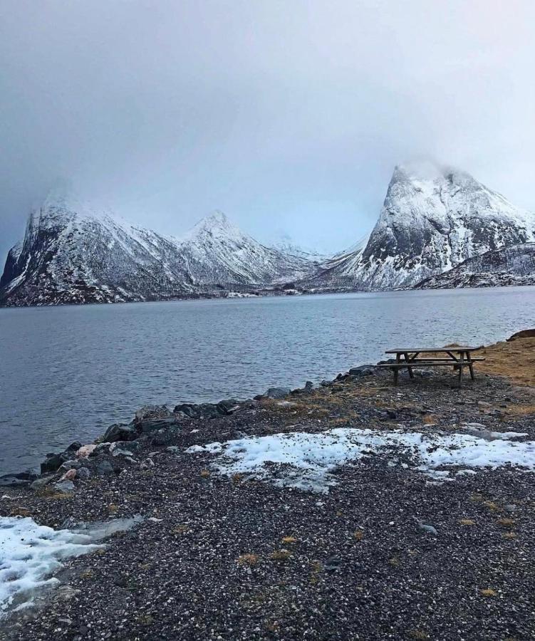 الشقق الفندقية Stonglandseidetفي  Senja Living المظهر الخارجي الصورة