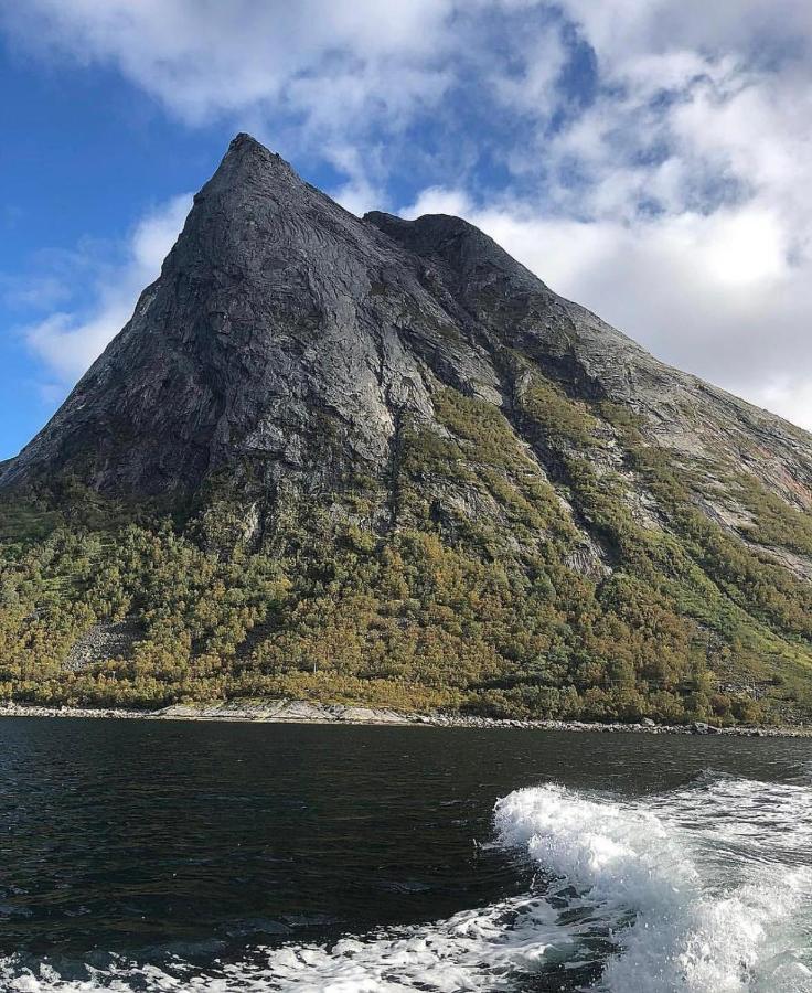 الشقق الفندقية Stonglandseidetفي  Senja Living المظهر الخارجي الصورة