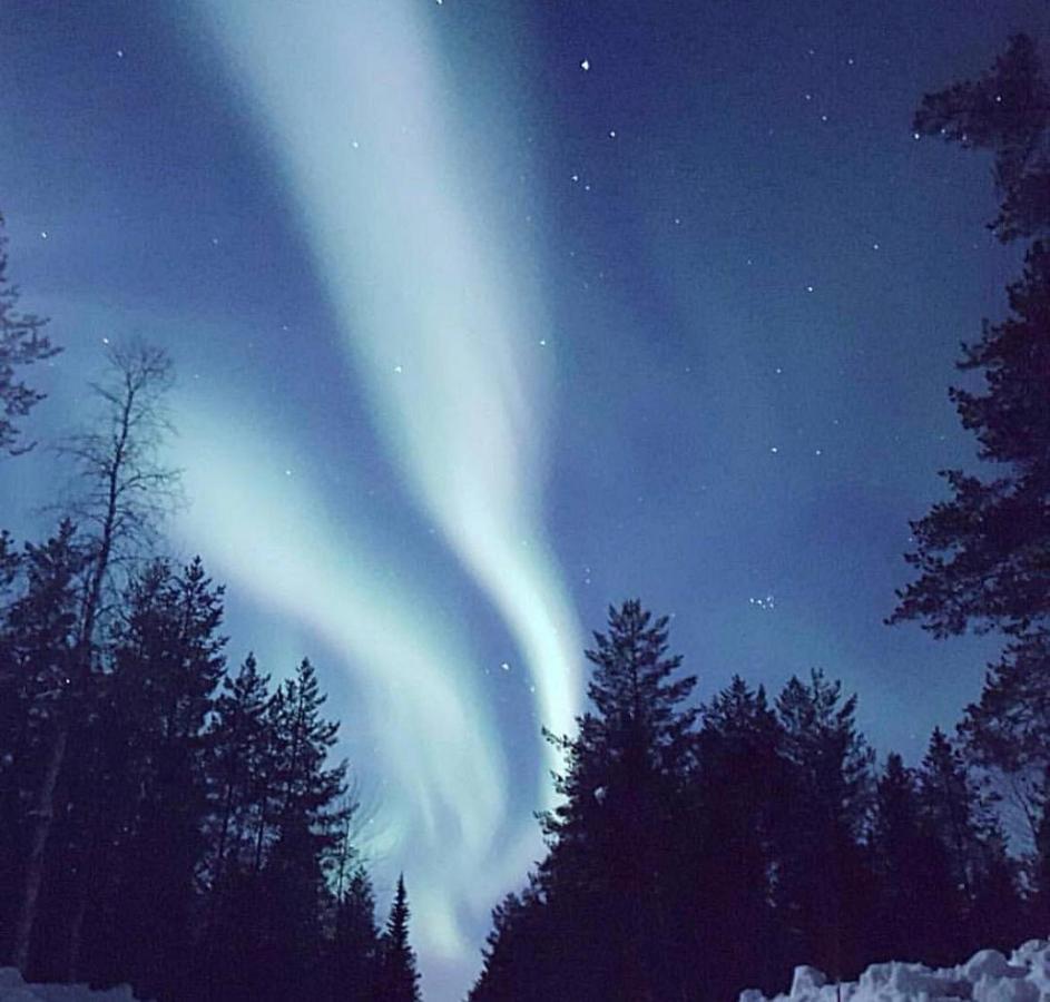 الشقق الفندقية Stonglandseidetفي  Senja Living المظهر الخارجي الصورة