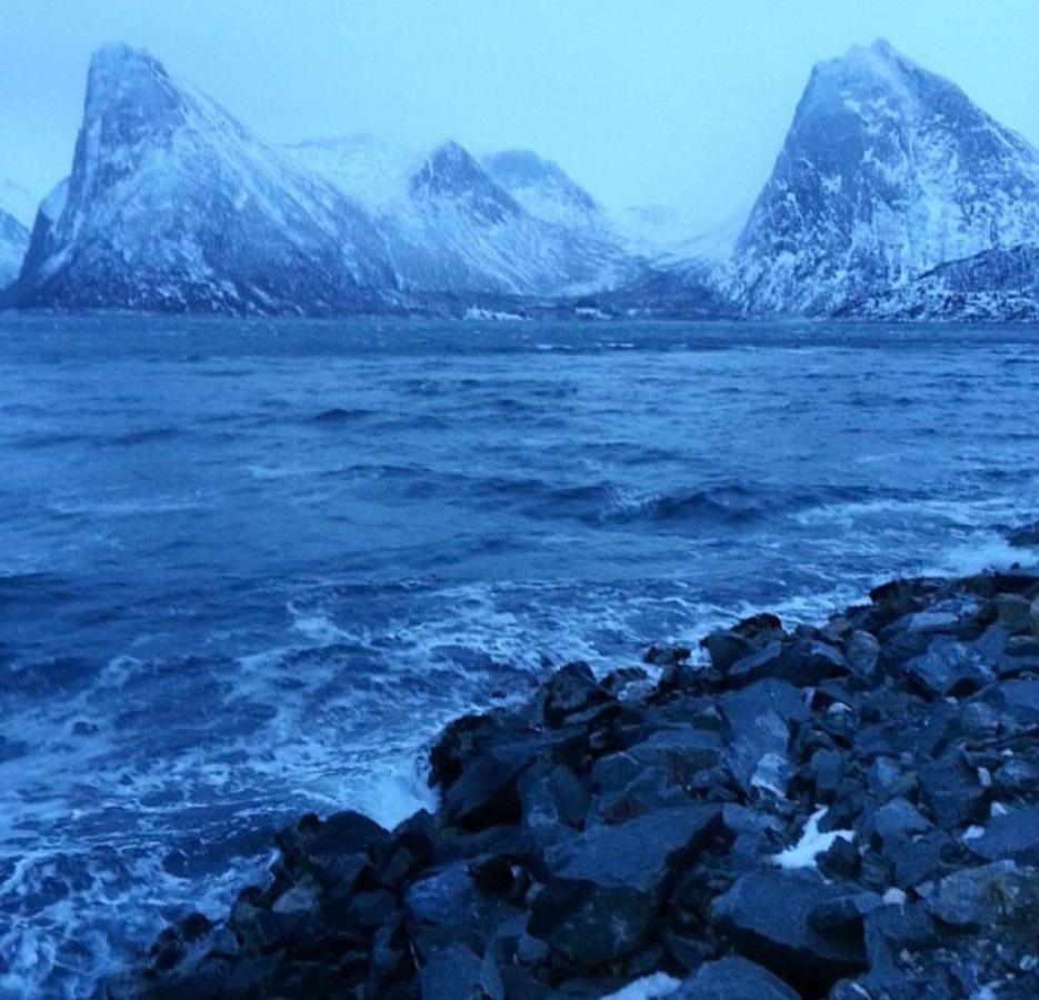 الشقق الفندقية Stonglandseidetفي  Senja Living المظهر الخارجي الصورة