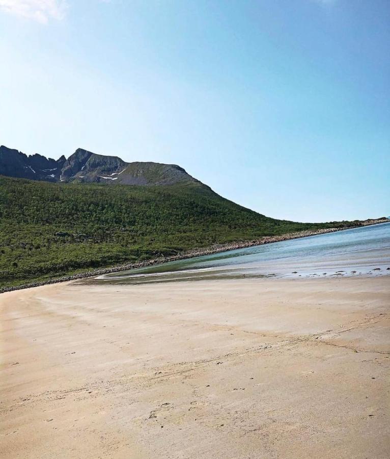 الشقق الفندقية Stonglandseidetفي  Senja Living المظهر الخارجي الصورة