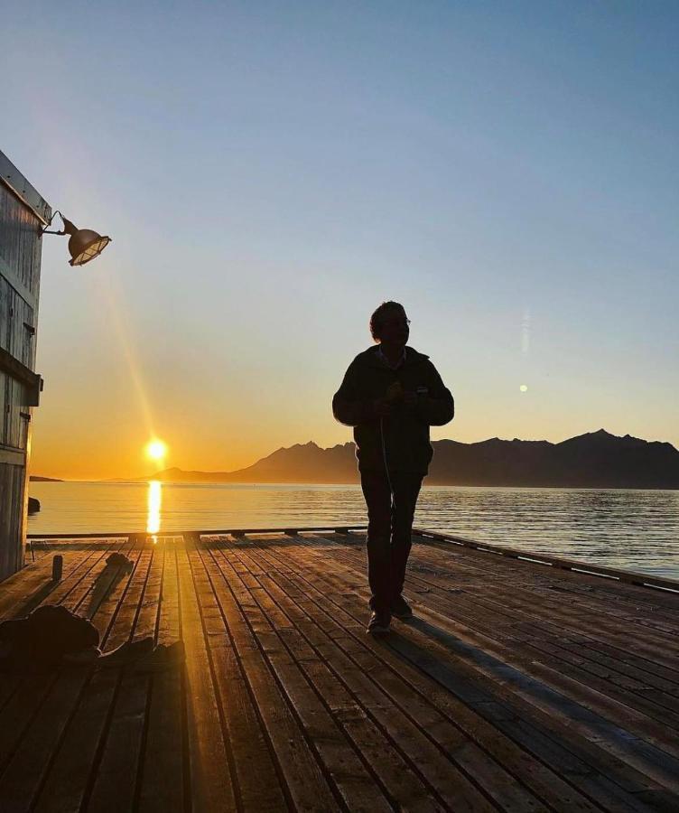 الشقق الفندقية Stonglandseidetفي  Senja Living المظهر الخارجي الصورة