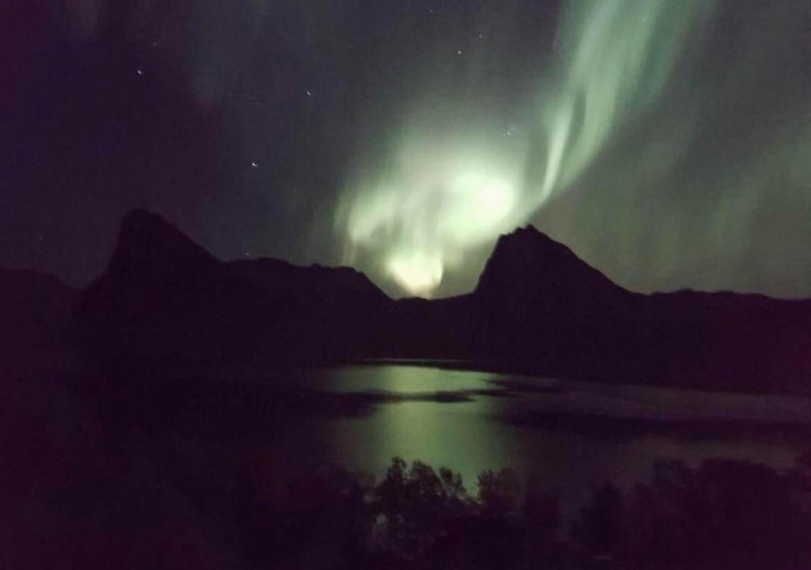 الشقق الفندقية Stonglandseidetفي  Senja Living المظهر الخارجي الصورة
