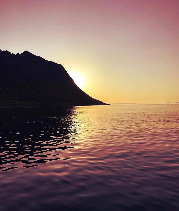 الشقق الفندقية Stonglandseidetفي  Senja Living المظهر الخارجي الصورة