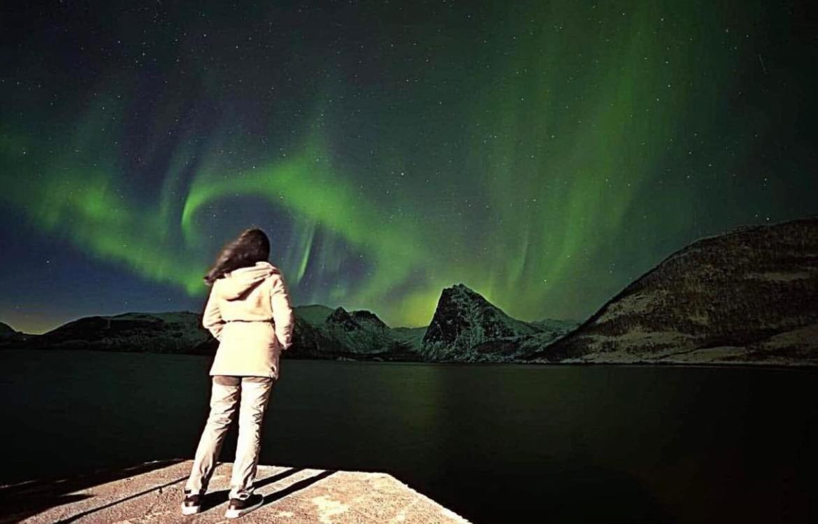 الشقق الفندقية Stonglandseidetفي  Senja Living المظهر الخارجي الصورة