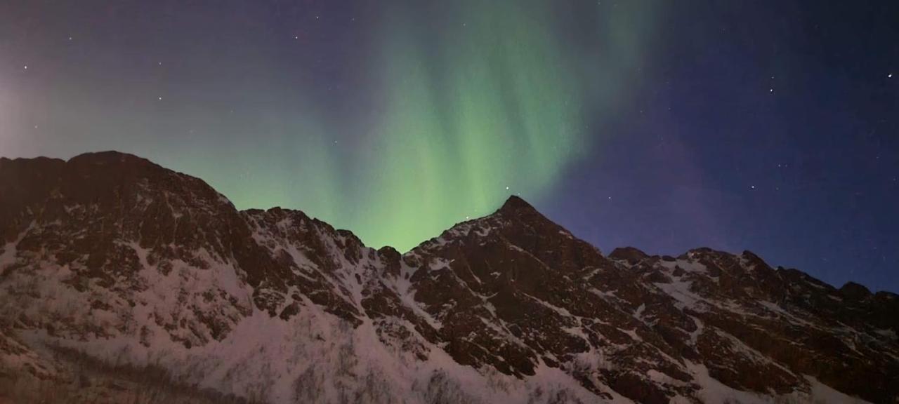 الشقق الفندقية Stonglandseidetفي  Senja Living المظهر الخارجي الصورة