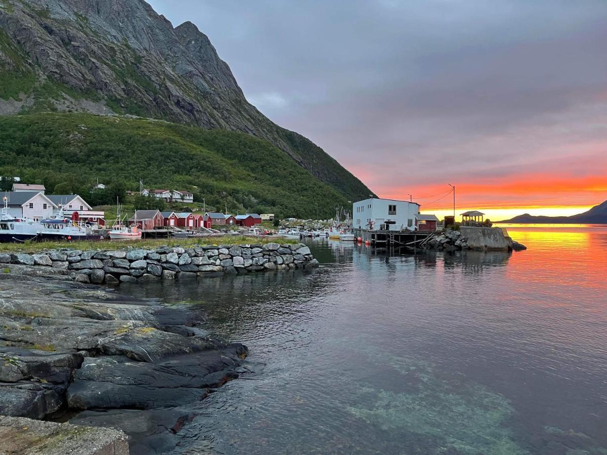 الشقق الفندقية Stonglandseidetفي  Senja Living المظهر الخارجي الصورة