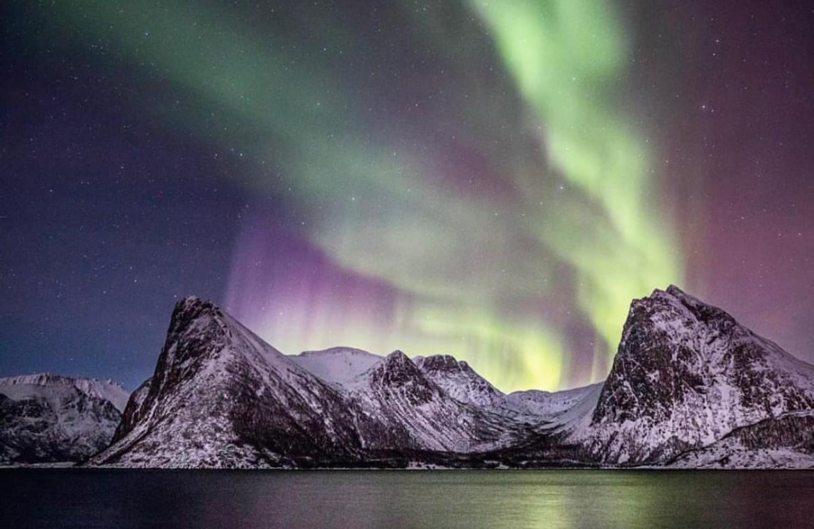الشقق الفندقية Stonglandseidetفي  Senja Living المظهر الخارجي الصورة