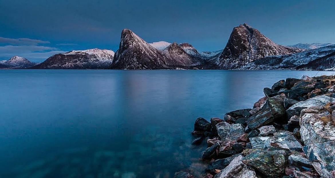 الشقق الفندقية Stonglandseidetفي  Senja Living المظهر الخارجي الصورة
