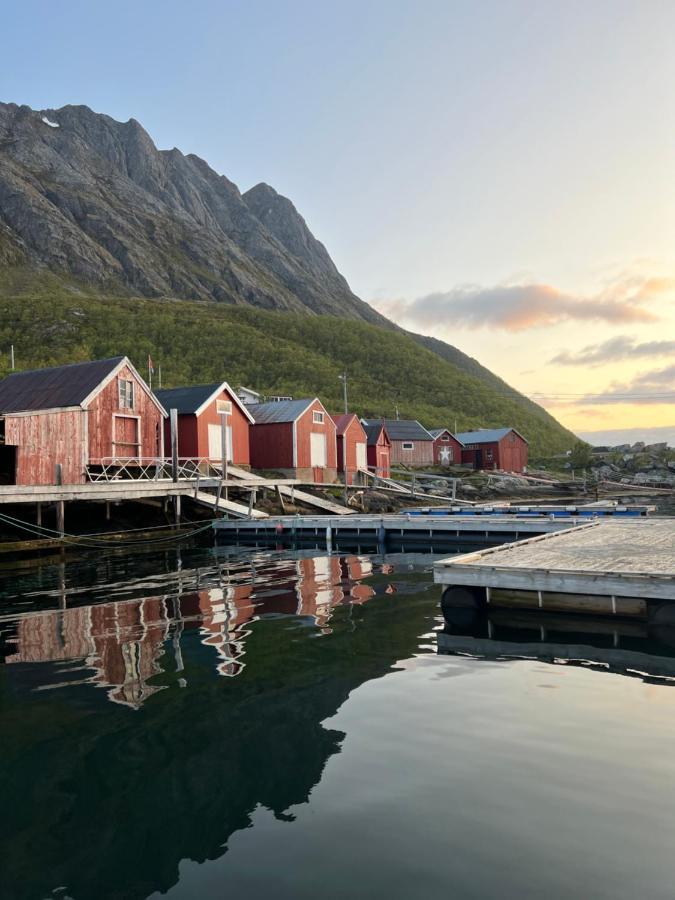 الشقق الفندقية Stonglandseidetفي  Senja Living المظهر الخارجي الصورة