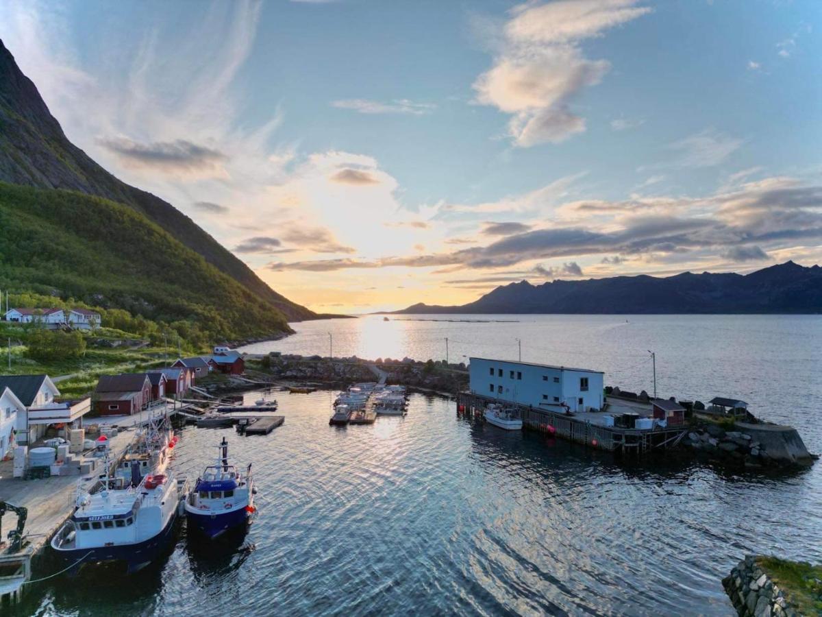 الشقق الفندقية Stonglandseidetفي  Senja Living المظهر الخارجي الصورة