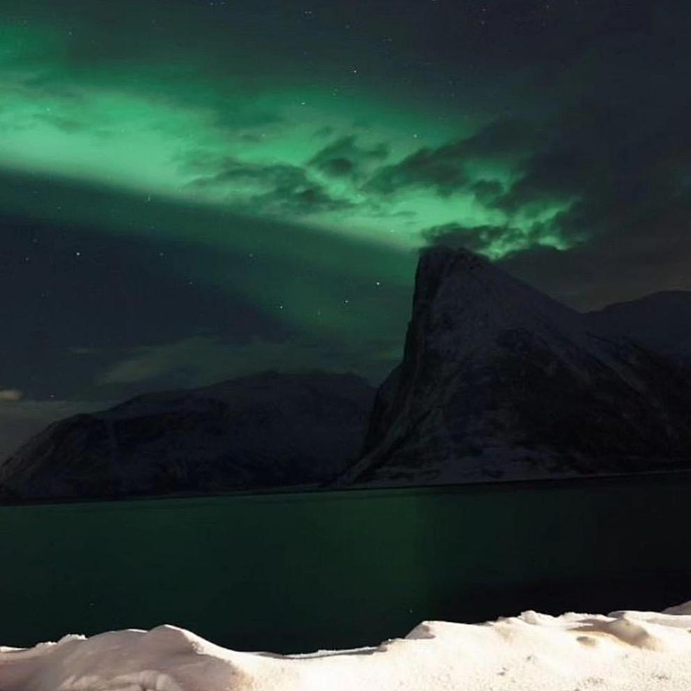 الشقق الفندقية Stonglandseidetفي  Senja Living المظهر الخارجي الصورة