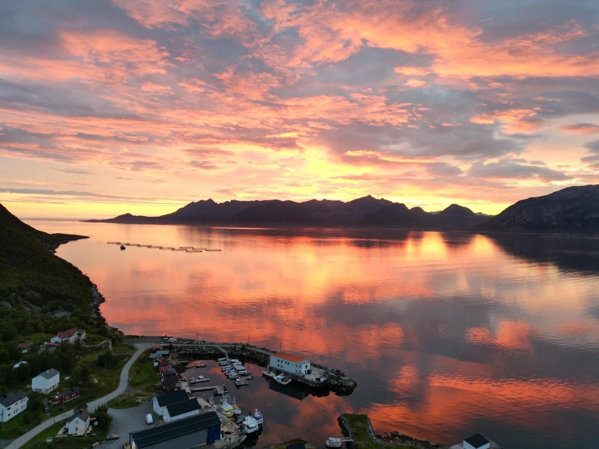 الشقق الفندقية Stonglandseidetفي  Senja Living المظهر الخارجي الصورة
