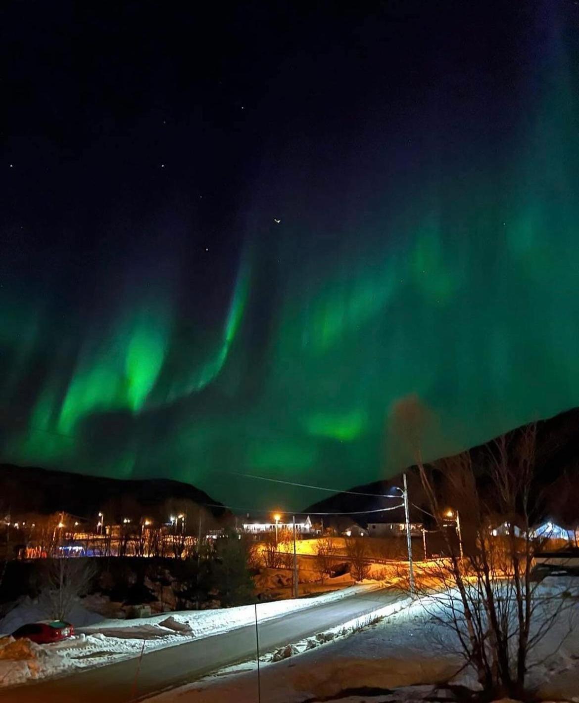 الشقق الفندقية Stonglandseidetفي  Senja Living المظهر الخارجي الصورة