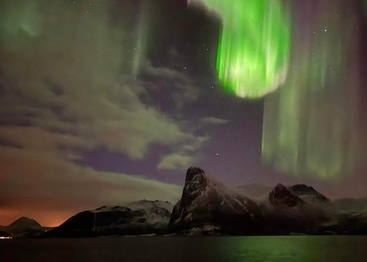 الشقق الفندقية Stonglandseidetفي  Senja Living المظهر الخارجي الصورة